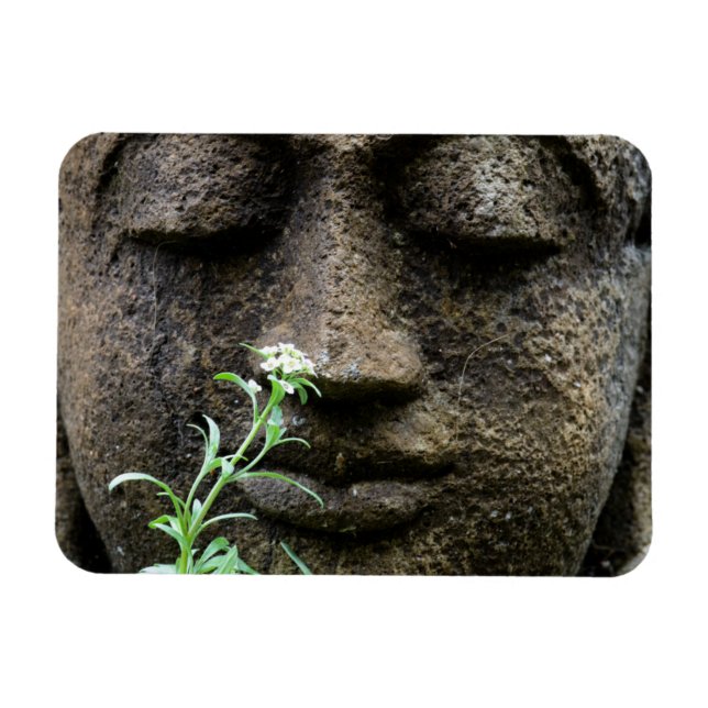Ímã Estátua de jardim de pedra com flor (Horizontal)
