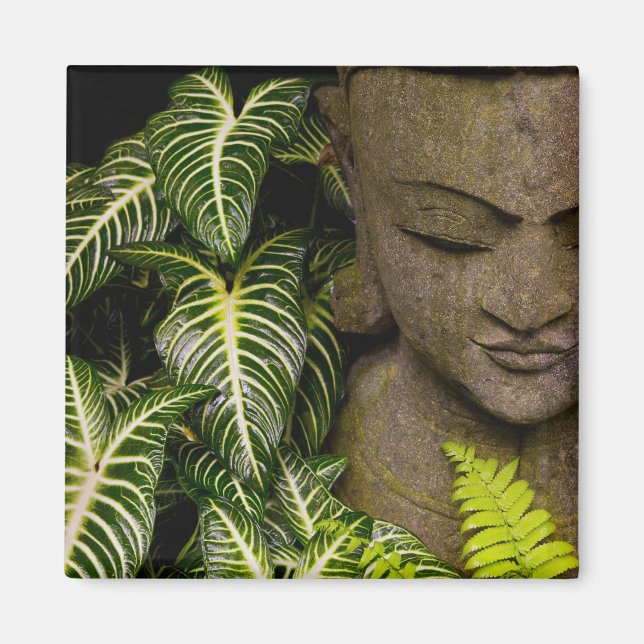 Imã Estátua em um Jardim Informações de Localização: M (Frente)