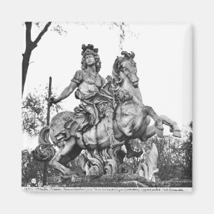 Imã Estátua equestre de Louis XIV