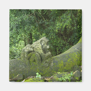 Imã Estátuas na floresta do macaco de Ubud