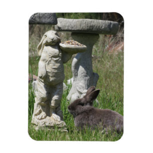 Ímã Estatueta de Coelho e Bunny Alimentador de Pássaro