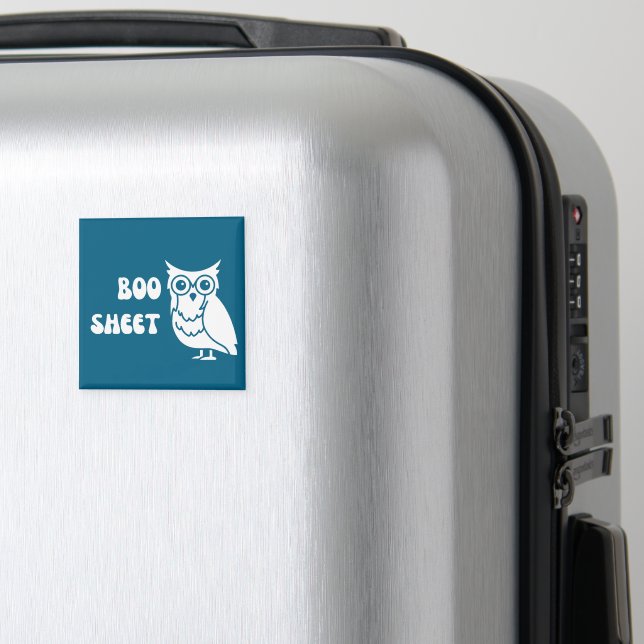 Imã Este é o boo Sheet (In Situ (Luggage))
