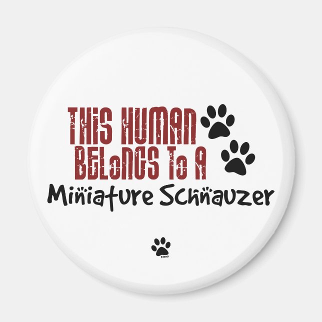 Imã Este Humano Pertence a uma Miniatura Schnauzer (Frente)