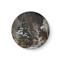 Estética de Floresta de Inverno Congelada