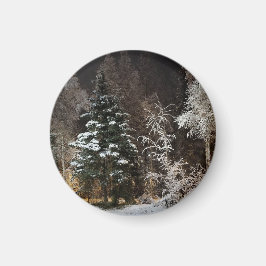 Imã Estética de Floresta de Inverno Congelada