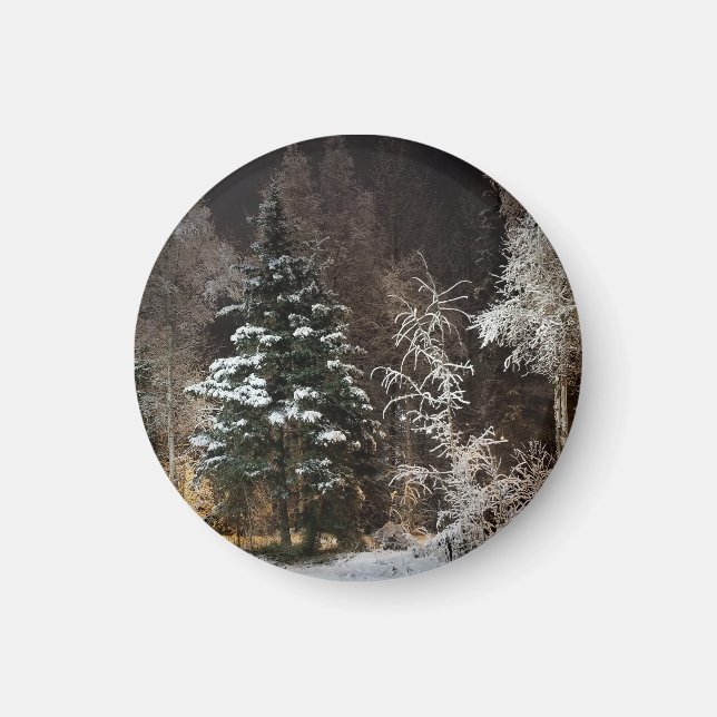 Imã Estética de Floresta de Inverno Congelada (Frente)