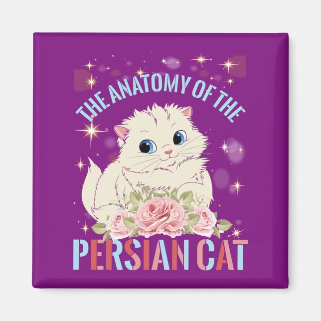 Imã Estética Do Gato, A Anatomia Do Gato Persa (Frente)
