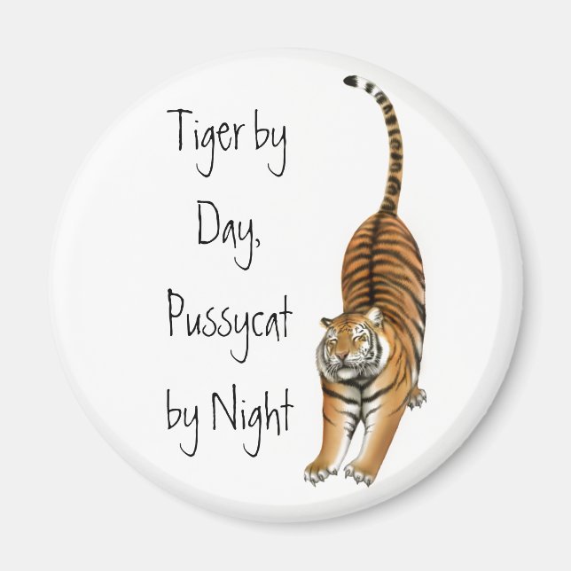 Imã Esticando o ímã do Tigre Bengal (Frente)