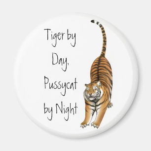 Imã Esticando o ímã do tigre de Bengal