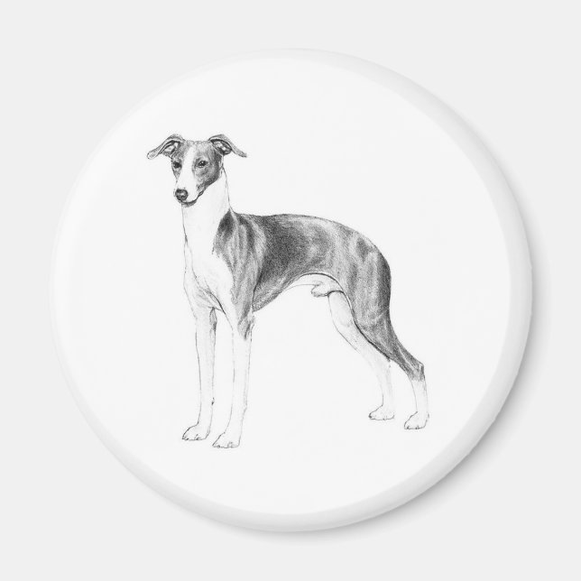 Imã Estilo de Greyhound Italiano (Frente)
