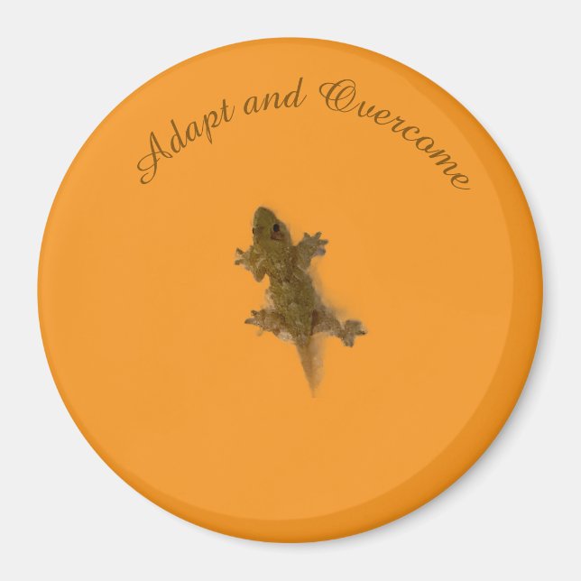 Imã Estilo de Lagarto (Frente)