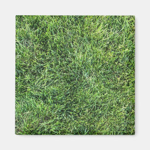 Imã Estilo de textura real de grama verde engraçado di