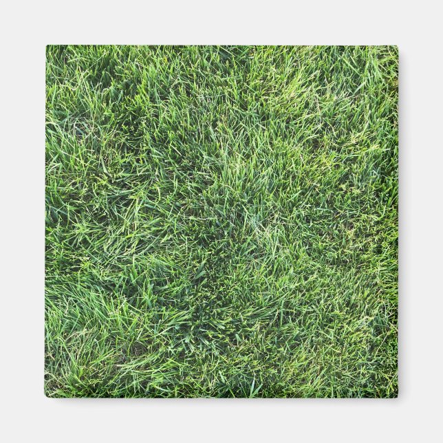 Imã Estilo de textura real de grama verde engraçado di (Frente)