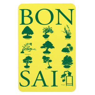 Ímã Estilos Básicos da Árvore Bonsai