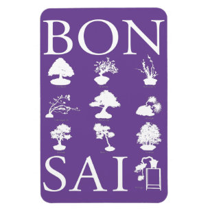 Ímã Estilos Básicos da Árvore Bonsai