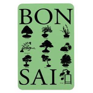 Ímã Estilos Básicos da Árvore Bonsai