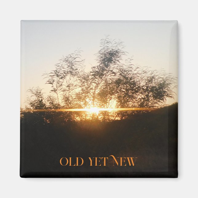 IMÃ ESTILOS DE DECORAÇÃO DE ARTE E DESIGN (Frente)