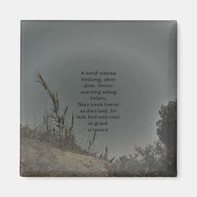 IMÃ ESTILOS DE DESCORAGEM DE ARTE E DESIGN DO MAGNET (Frente)