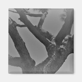 IMÃ ESTILOS DE DESCORAGEM DE ARTE E DESIGN DO MAGNET