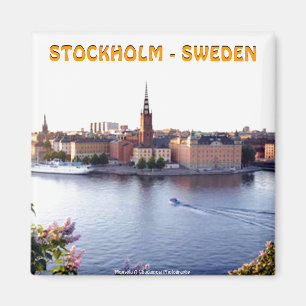 Imã Éstocolmo - suecia (Mojisola um Gbadamosi)