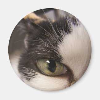 Imã Estou assistindo