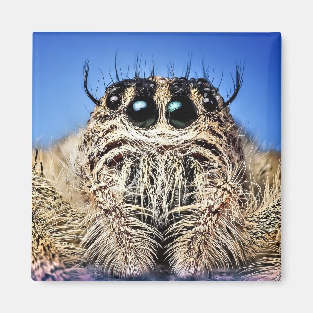 Imã Estou de olho em você! (Frente)