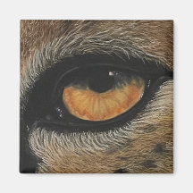 Estou de olho em você. Cheetah