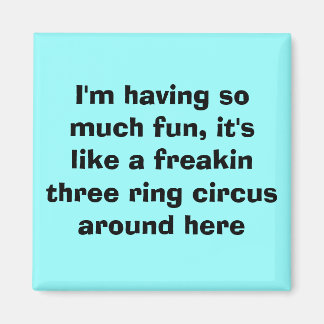 Imã Estou me divertindo tanto, é como um maluco...