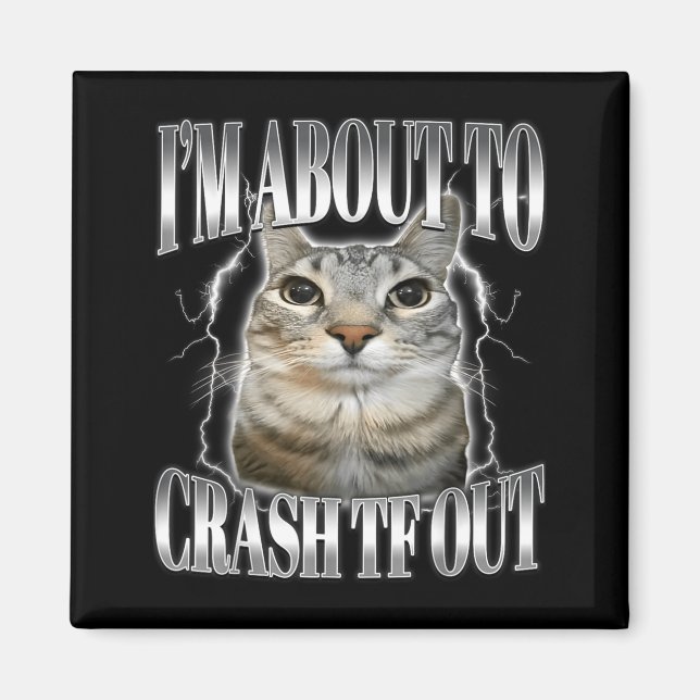Imã Estou Prestes a Desmaiar Gato Olhando Fixamente Di (Frente)