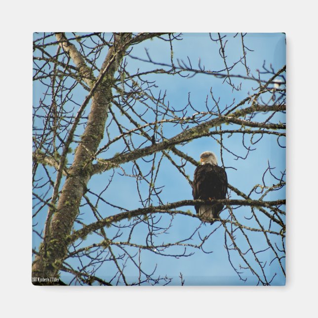 Imã Estou te observando (Frente)