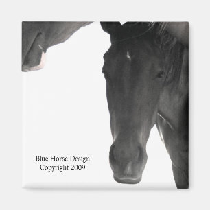 Imã Estou tentando dormir aqui