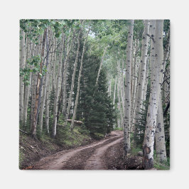 Imã Estrada Através do Pássaro