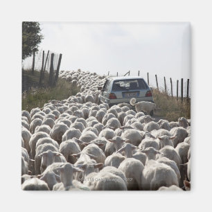 Imã estrada da terra de Toscânia, carro obstruído pe