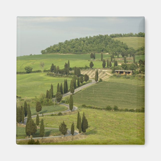 Imã Estrada de Pienza a Montepulciano, (Frente)