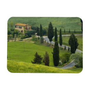 Ímã Estrada de Pienza a Montepulciano, 2