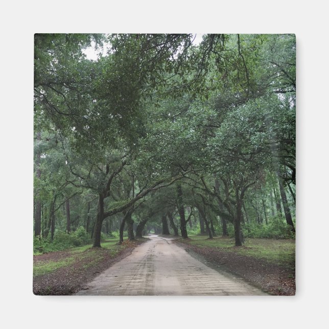 Imã estrada de segurança (Frente)