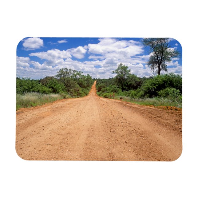 Ímã Estrada de terra, Parque Nacional Kruger, Mpumalan (Horizontal)