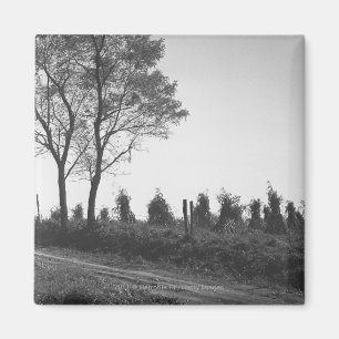 Imã Estrada de terra pelo campo B&W