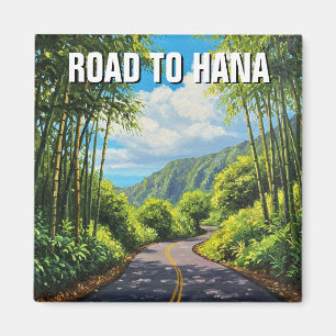 Imã Estrada para Hana Maui Hawaii Viagem