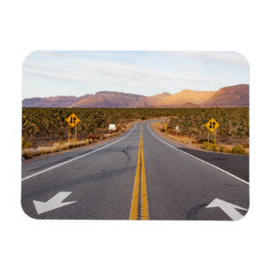 Ímã Estrada Pelo Parque Nacional Joshua Tree
