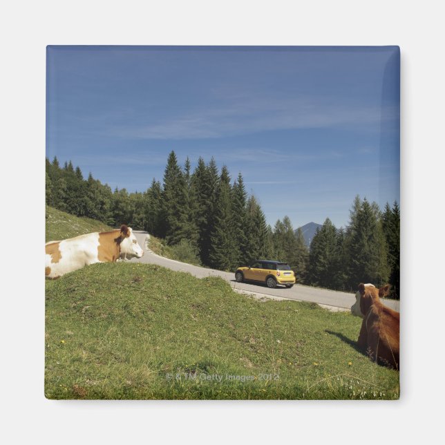 Imã estrada pós-alm, weissenbachtal, (Frente)