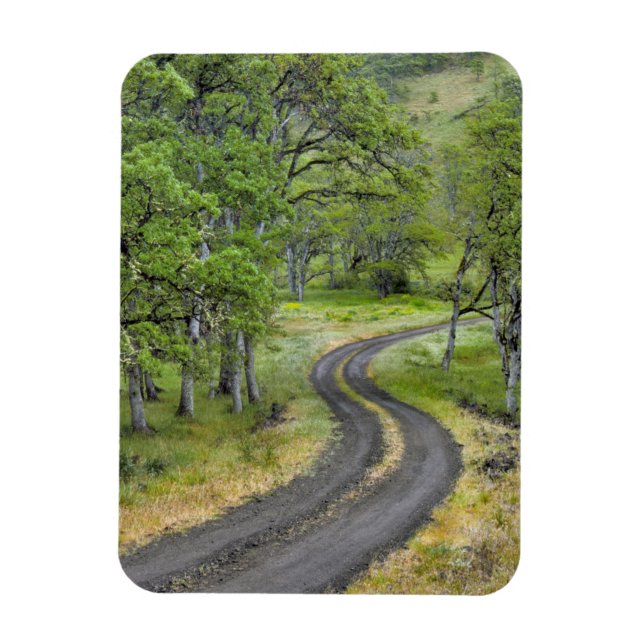 Ímã Estrada rural através de árvores, Oregon (Vertical)