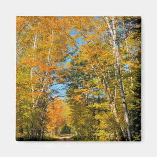 Imã Estrada Rural Cores de Outono New Hampshire
