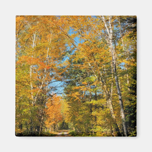 Imã Estrada Rural Cores de Outono New Hampshire (Frente)