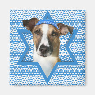 Imã Estrela de Hanukkah de David - Whollie - Coney