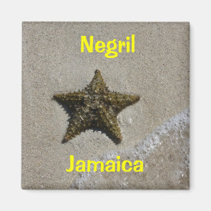 Imã Estrela do mar
