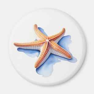 Imã Estrela do Mar e Silhueta Azul