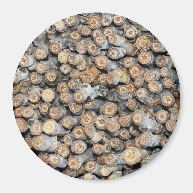 Imã Estrelas ao longo do Rio Grande Cotton Wood Trees  (Frente)