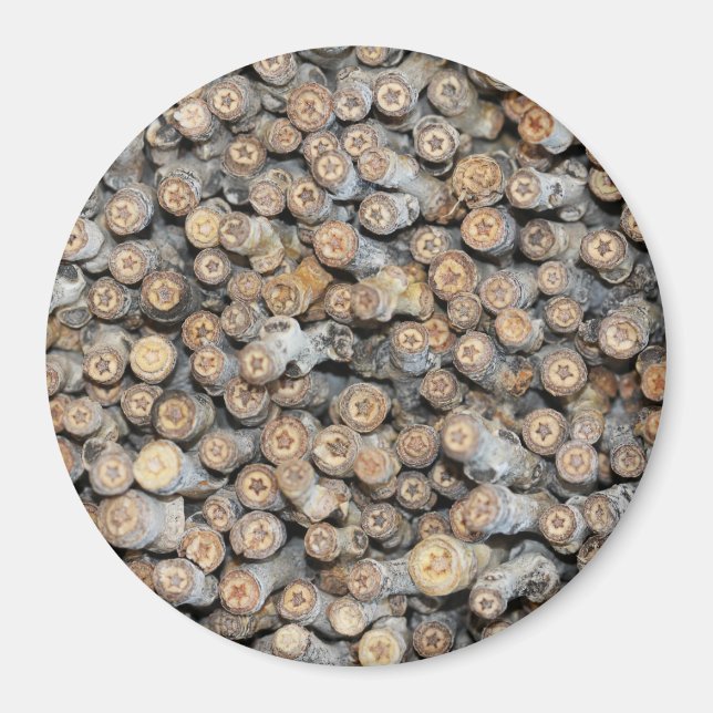 Imã Estrelas ao longo do Rio Grande Cotton Wood Trees  (Frente)