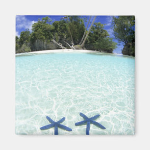 Imã Estrelas do mar, Ilhas de Rocha, Palau